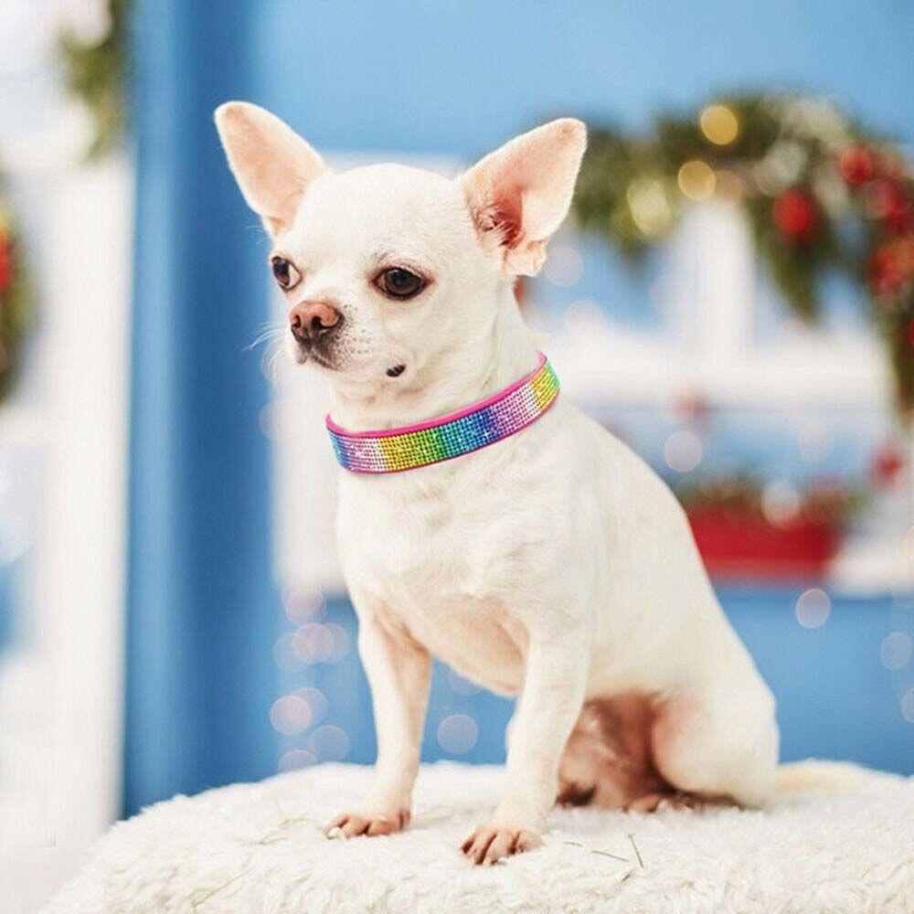 Vòng Cổ Chó AUGUSTINA|Phụ Kiện Cho Thú Cưng Chihuahua Dễ Dàng Điều Chỉnh