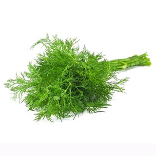 5gr - HẠT GIỐNG RAU THÌ LÀ