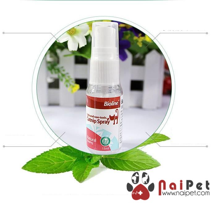 Catnip Dạng Xịt Cỏ Bạc Hà Dạng Xịt Cho Mèo Catnip Spray Bioline 15ml