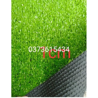 Tấm thảm cỏ nhân tạo, mẩu cỏ non 50 cm x50 cm