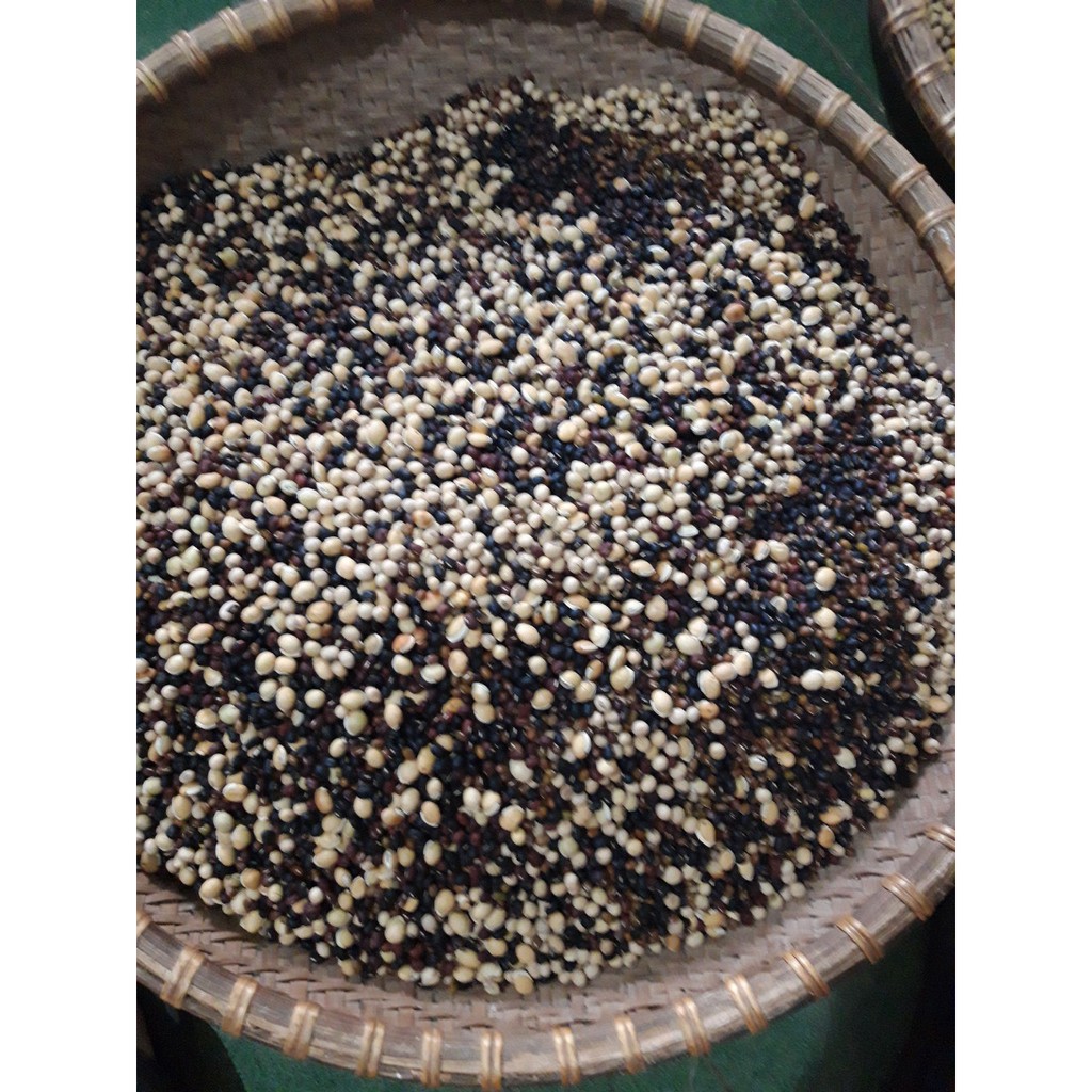 Bột Ngũ CốcTăng Cân Mix 6 Loại Hạt Dinh Dưỡng Cho Người Lớn, Trẻ Em 500 Gram
