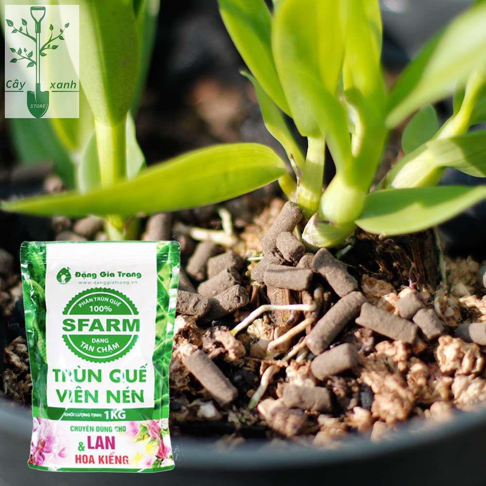 Phân trùn quế cao cấp nguyên chất dạg nén 1kg Sfarm