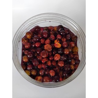 NHO RỪNG NGÂM ĐƯỜNG PHÈN (1 LÍT)