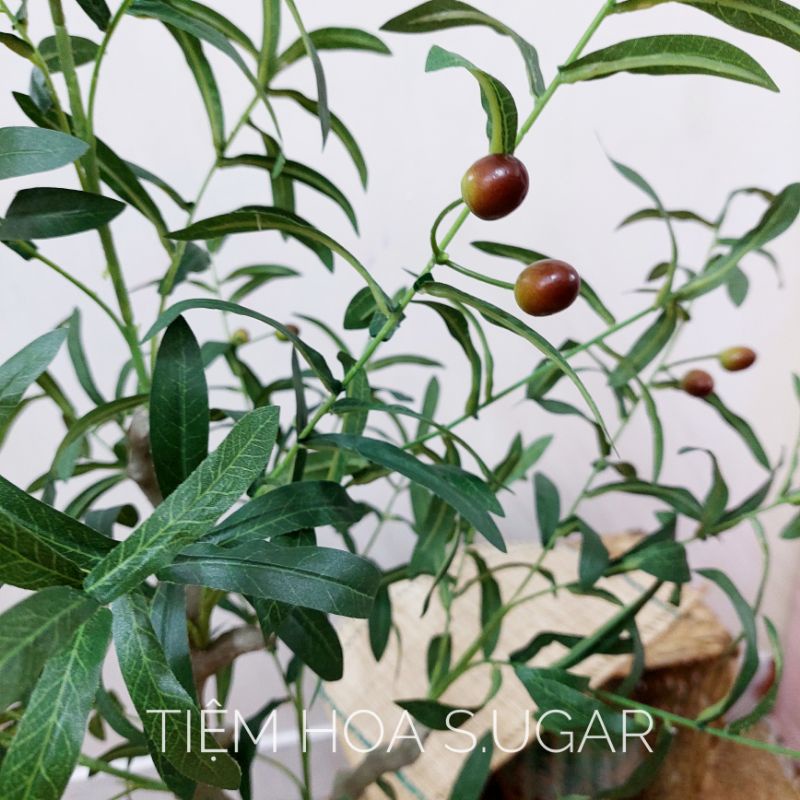 Cây oliu giả cao cấp LÕI THÉP HÀNG NHẬP KHẨU