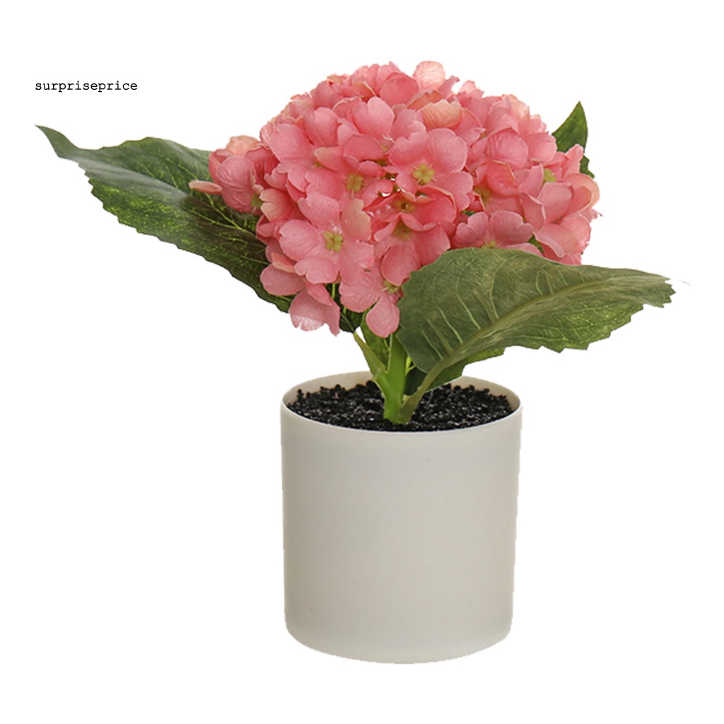 Chậu Cây Bonsai Nhân Tạo Chống Mòn Tiết Kiệm Không Gian Cho Khách Sạn / Bàn Làm Việc