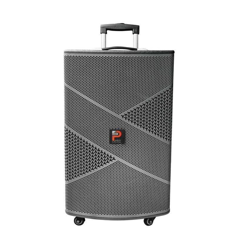 Loa Kéo Di Động ProSing W12 Infinity, Bảo hành chính hãng