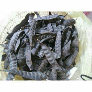 Sỉ lẻ bồ kết khô 100g - 200g - 300g