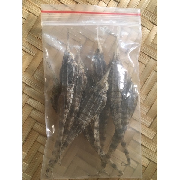 Combo tứ hải long vương ngâm rượu