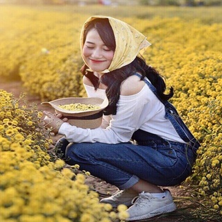 Hạt Giống Cúc Chi F1