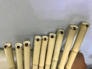 Tiêu C4 (free ship)