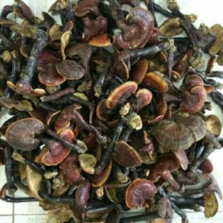 1kg nấm lim xanh