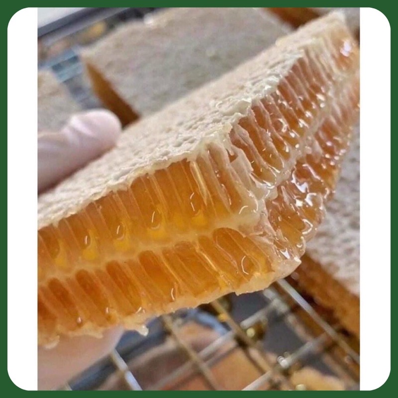 Mật ong nguyên chất hoa cà phê 50g