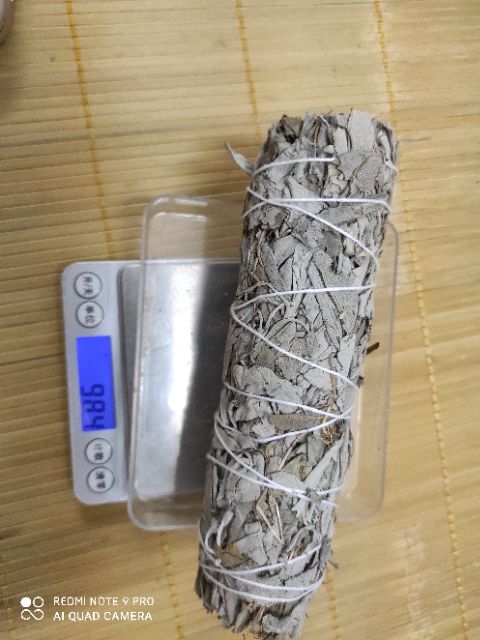 Bó xô thơm trắng/ White sage/ Lá sage thanh tẩy không gian (chuẩn Nam California)