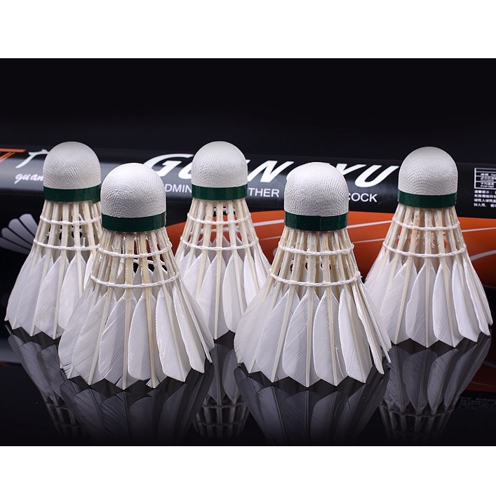 Hộp cầu lông Guang yu 12 quả cao cấp tập luyện giải trí, thi đấu - N08