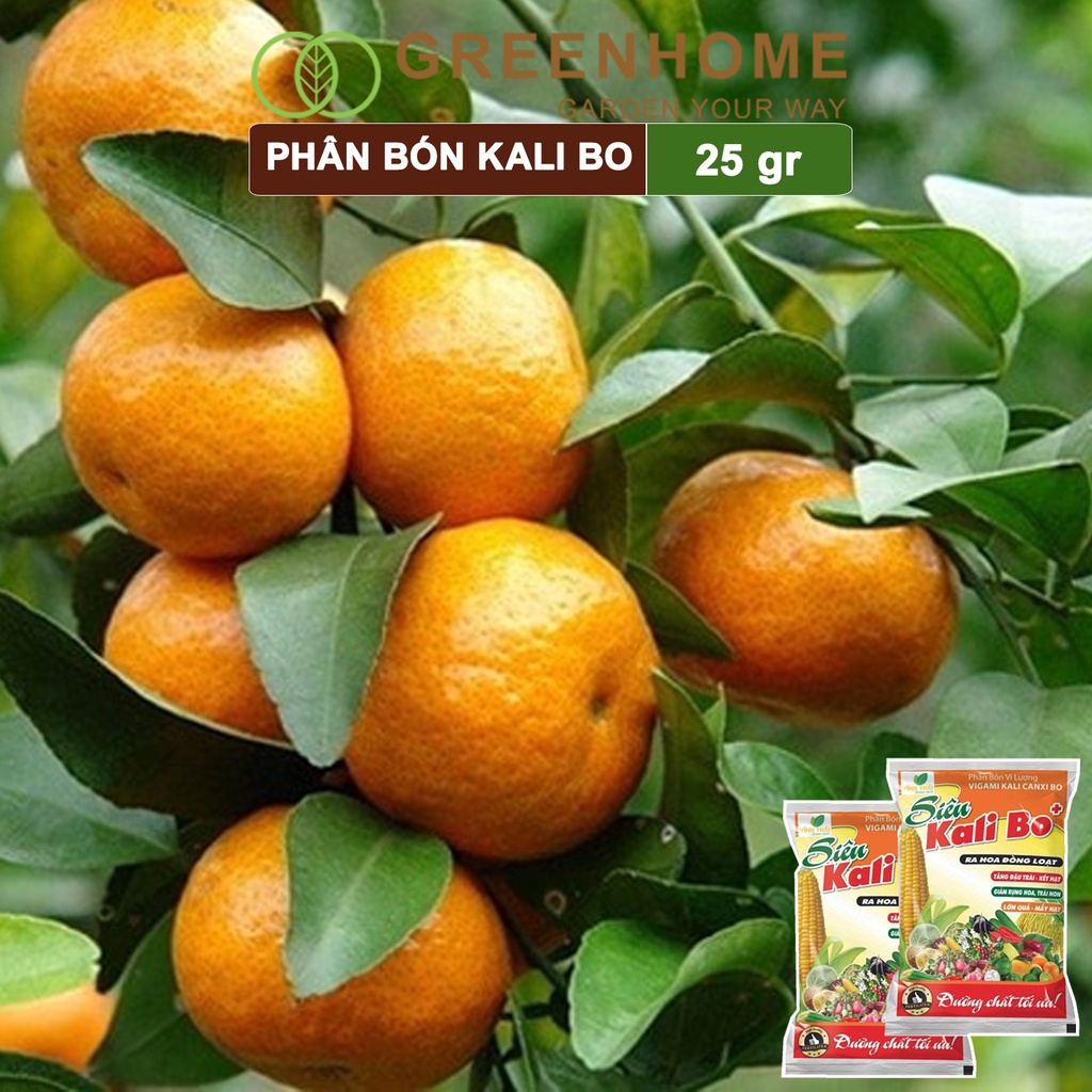 Phân bón Kali bo, gói 25g, kích thích ra hoa, quả to, chắc ruột, tăng độ ngọt | Greenhome