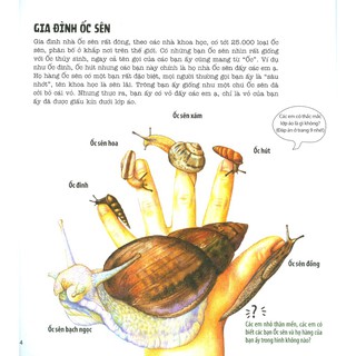 Sách - Ehon Nhìn Kìa! Ốc Sên Đang Bò