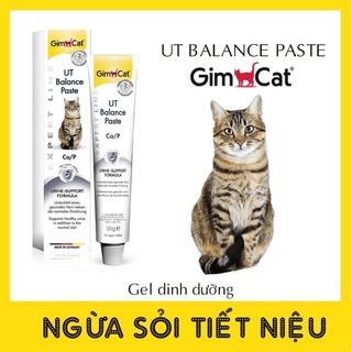 GEL GIMCAT HỔ TRỢ ĐIỀU TRỊ SỎI THẬN URINARY Ở MÈO 50G