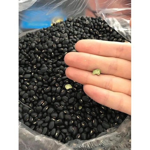 Đậu đen xanh lòng rang sẵn bịch 500gr | BigBuy360 - bigbuy360.vn