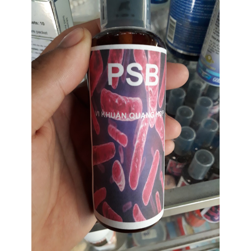 Vi khuẩn quang hợp PSB ( chai xịt 100ml)