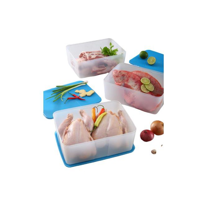 Hộp Trữ Đông Freezermate 5.6L Tupperware | WebRaoVat - webraovat.net.vn