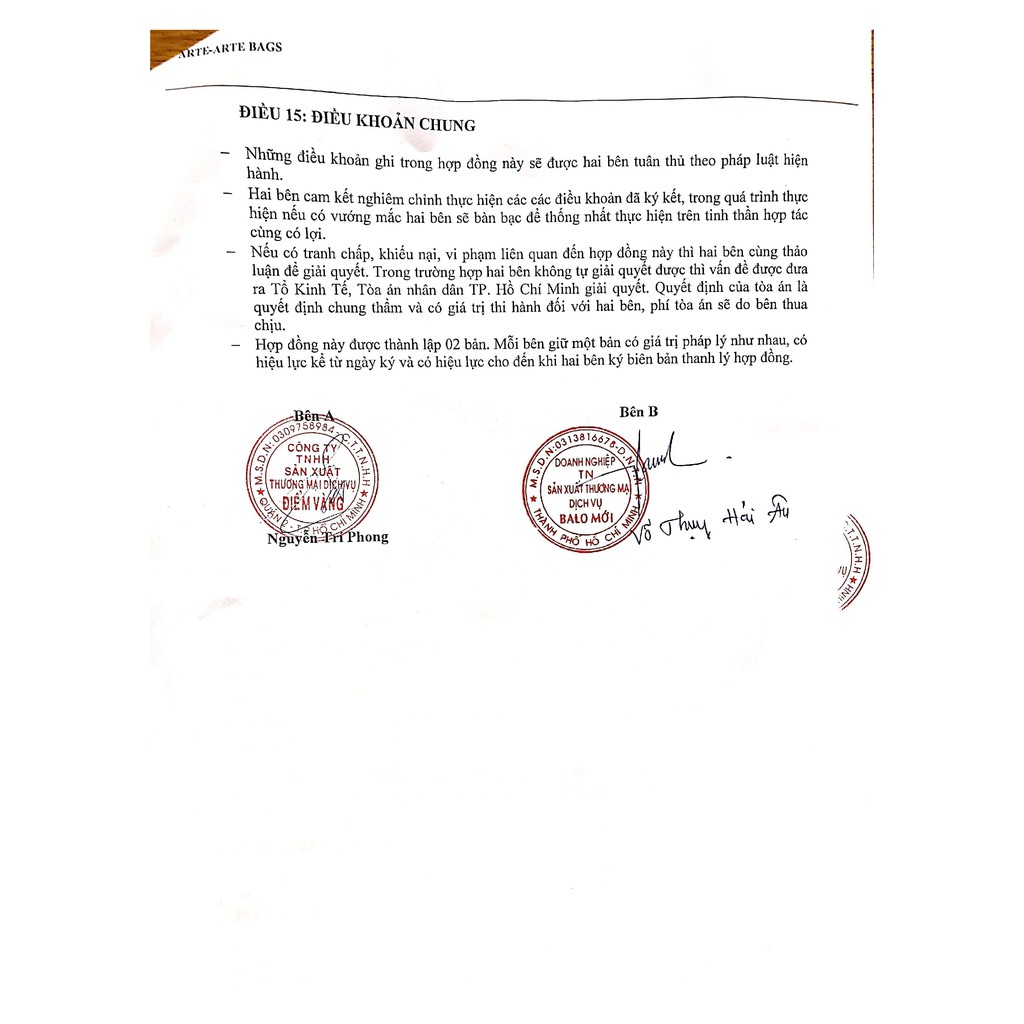 Balo Laptop Arte Octo 16000878OT00