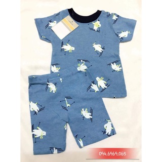 Bộ carter's