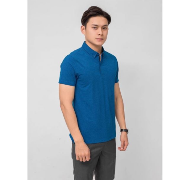 Áo polo nam ARISTINO thiết kế basic khỏe khoắn, chất cotton mềm mại, thoát ẩm tốt - APS016S9