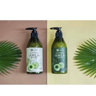 Dầu gội và dầu xả Amla