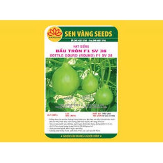 HẠT GIỐNG BẦU TRÒN