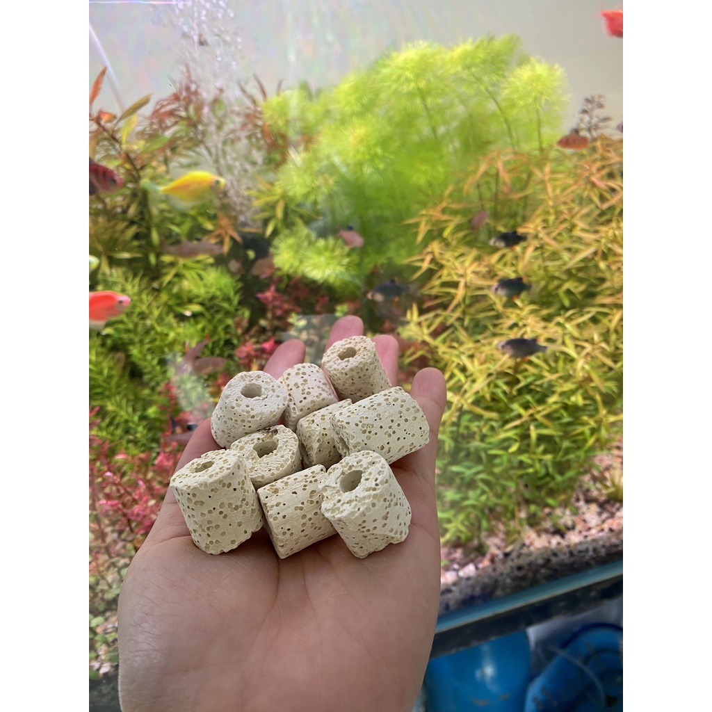 SỨ VIÊN LỖ- VẬT LIỆU LỌC XỬ LÝ BỂ CÁ SỨ LỖ- SỨ LỌC NƯỚC- SỨ LỖ LỌC NƯỚC (100g)