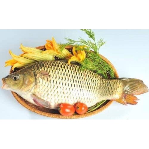 Hạt đậu tằm Úc 1kg