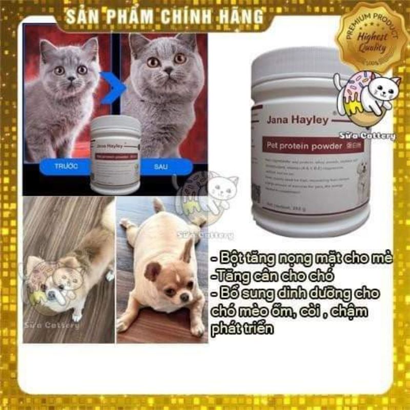 Pet Protein bổ sung dinh dưỡng và vitamin cho chó mèo, tăng phom, nọng mặt cho chó mèo hộp 258g