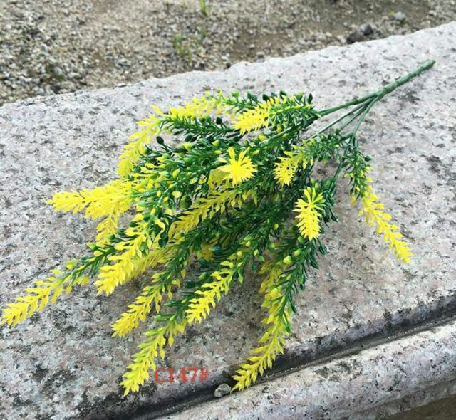 1 cành điểm chồn 7 nhánh