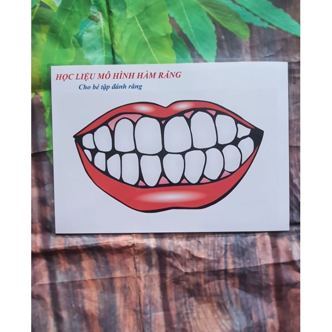 Bé Tập Đánh Răng Xinh🦷🥰