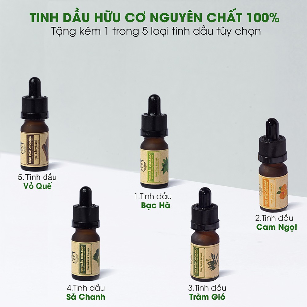 Combo 3 lọ tinh dầu Thiền Định Tâm Tịnh (Gỗ Hồng,Ngọc Lan Tây,Hoắc Hương) 10ml nguyên chất | Tặng kèm tinh dầu tuỳ chọn