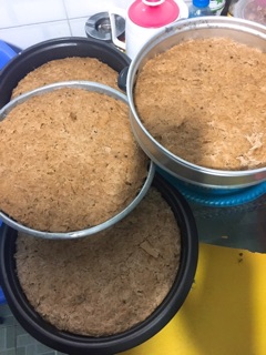 Thịt heo chay 500g-hàng order