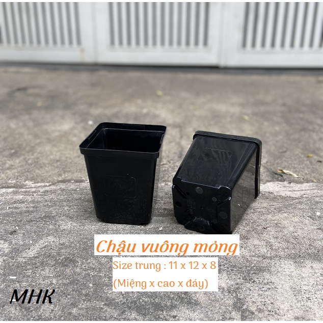 Chậu vuông nhựa mỏng size Trung (11x12x8) cm !