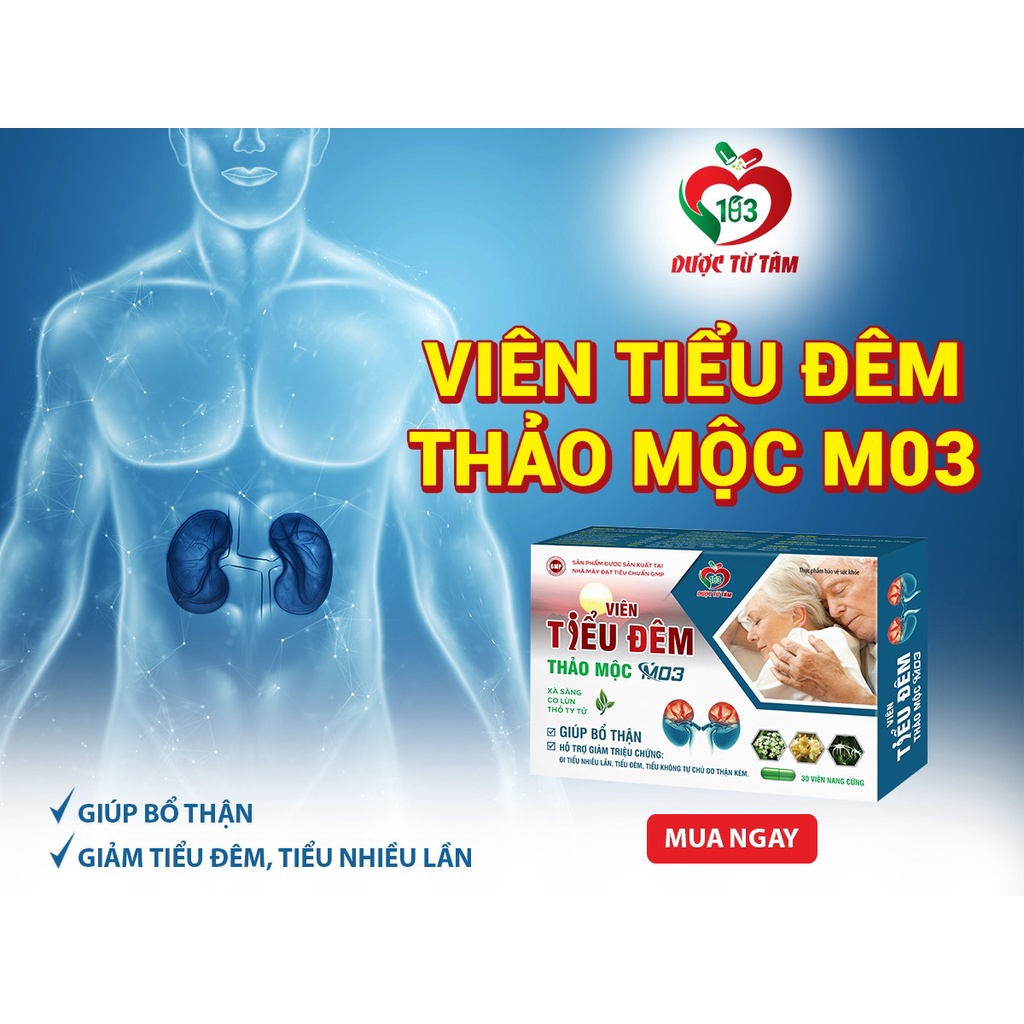 Viên Tiểu Đêm Thảo Mộc M03 đi tiểu nhiều lần trong ngày đái dắt bổ thận tráng dương tiểu rắt mắc tiểu liên tục Hộp 30 Vi
