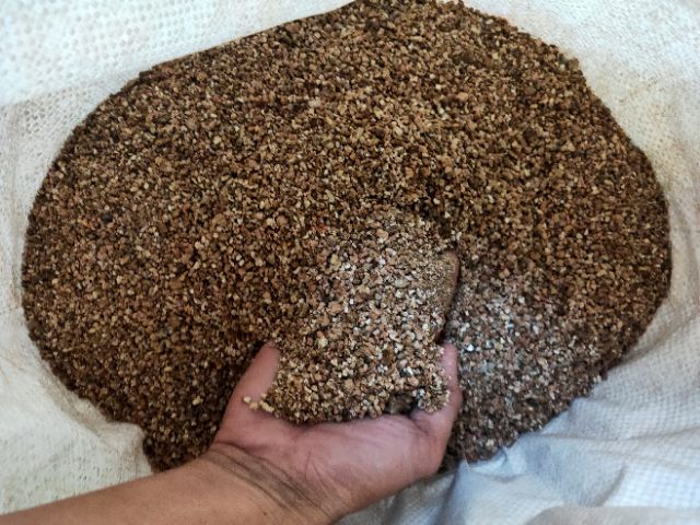 Đá Vermiculite ( Giá thể trồng Sen Đá-Xương Rồng) 100g