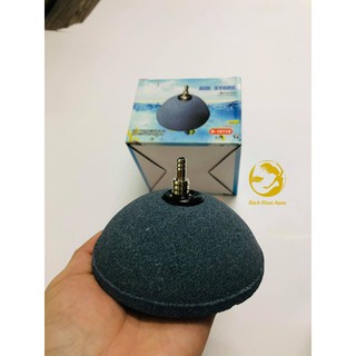Quả sủi hình nón cho bể cá