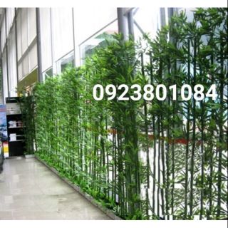 Cây Trúc,Tre giả cao cấp cao 1m5 - Cây Thật Lá Giả