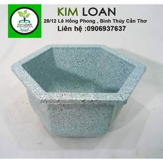 Combo 4 chậu lục giác mini vân đá xám 21x11cm