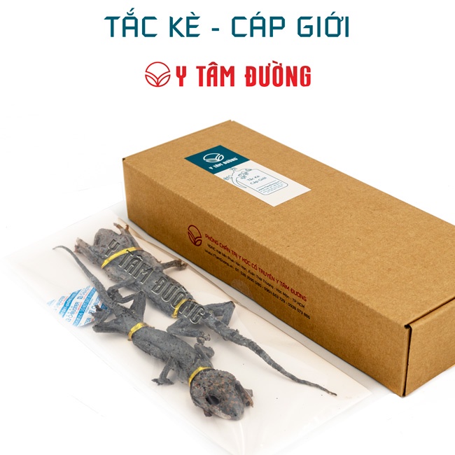 Tắc kè khô thượng phẩm - 1 cặp gồm 2 con