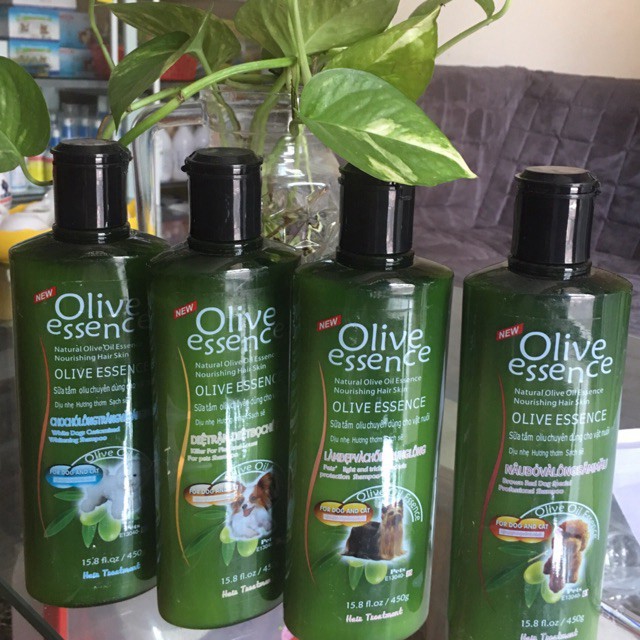 Sữa tắm cho chó giúp mượt lông chống rụng lông tinh dầu oliu olive essence - Long Vũ Pet Food
