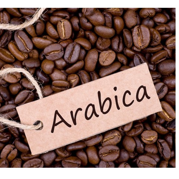 Arabica Cầu Đất Cà phê nguyên hạt 200g TDQ | BigBuy360 - bigbuy360.vn