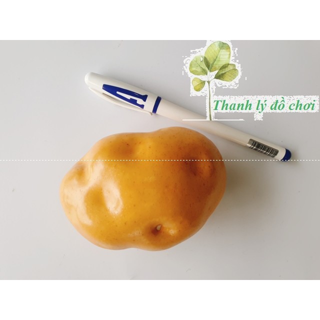 Củ khoai tây giống thật 99% cho trẻ thực hành cuộc sống - Ảnh chụp thật