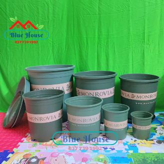 Chậu nhựa trồng cây cảnh, cây hoa Trung Quốc Size 0.5GL - 3GL