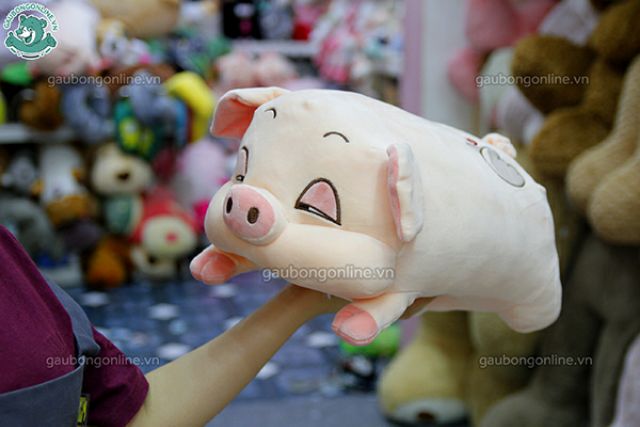 LỢN BÔNG ĐÁNG YÊU