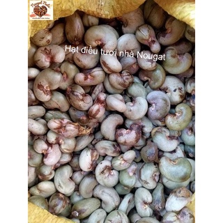 HẠT ĐIỀU NGUYÊN VỊ (500GRAM/HỘP/TÚI)