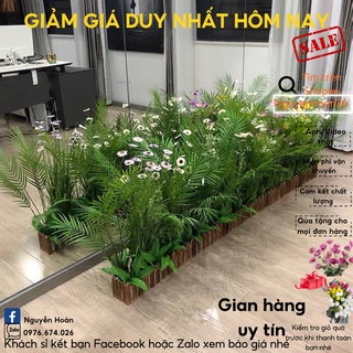 Cây gỉa_Cây dừa cạn cao 80cm cành dẻo phù hợp trang trí nhà cửa, trang trí decor, làm tiểu cảnh góc chụp ảnh